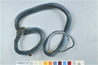 藏品(青蛇)的圖片